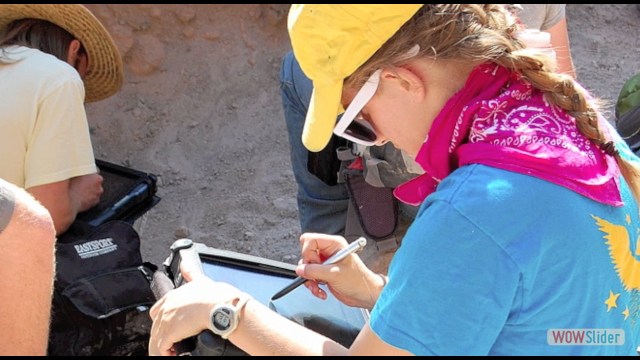 Using GIS in the field