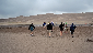 Great Sand Dunes National Park and Preserve