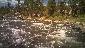 White water rafting in Nathrop, CO