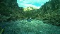 White water rafting in Nathrop, CO