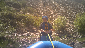 White water rafting in Nathrop, CO