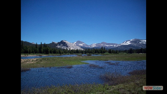 Yosemite National Park