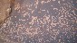 Pictographs, News Paper Rock