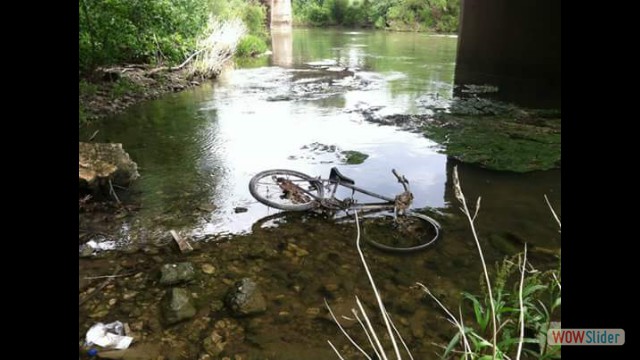 Bike rusting in the river main branch