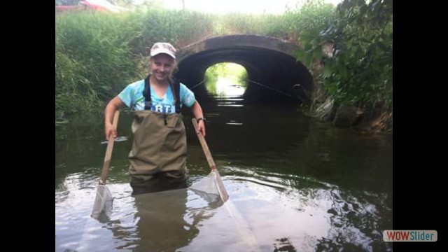 Collecting macroinvertibrates