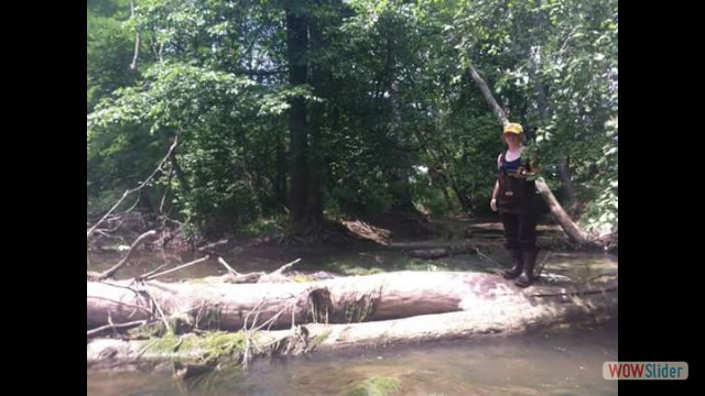 Natural log dam