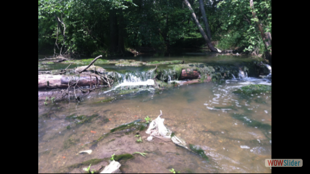 Natural log dam in the Portage river