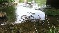 Bike rusting in the river main branch