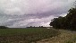 Corn field in Wood county