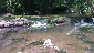 Natural log dam in the Portage river